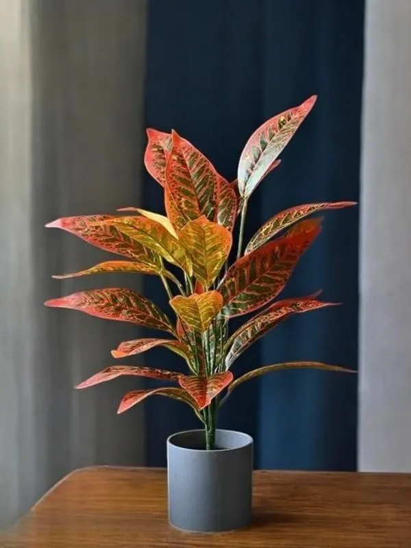 2_Feet_Vibrant_Artificial_Croton_Plant_in_Sleek_Grey_Pot_Lifelike_Indoor_Decor