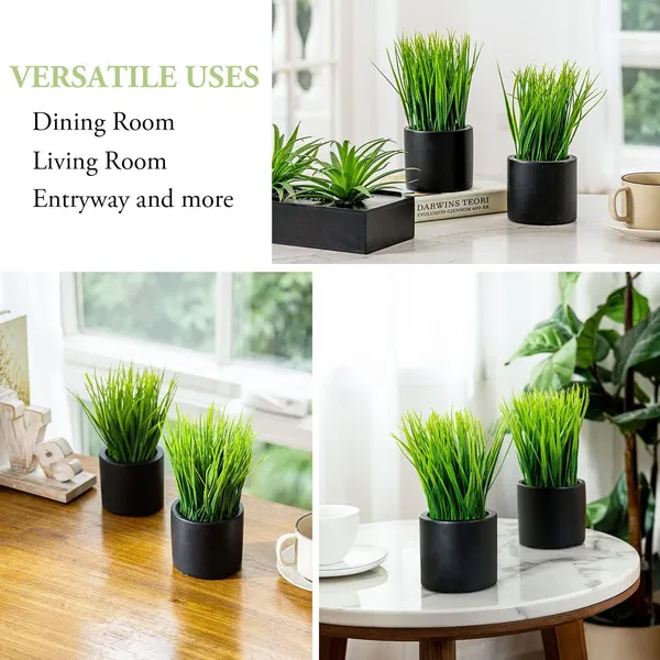 Artificial_Grass_Plant_Set_of_2_in_Black_Plastic_Pots__8_Inch_Tall_Faux_Greenery_for_Home_and_Office_Decor