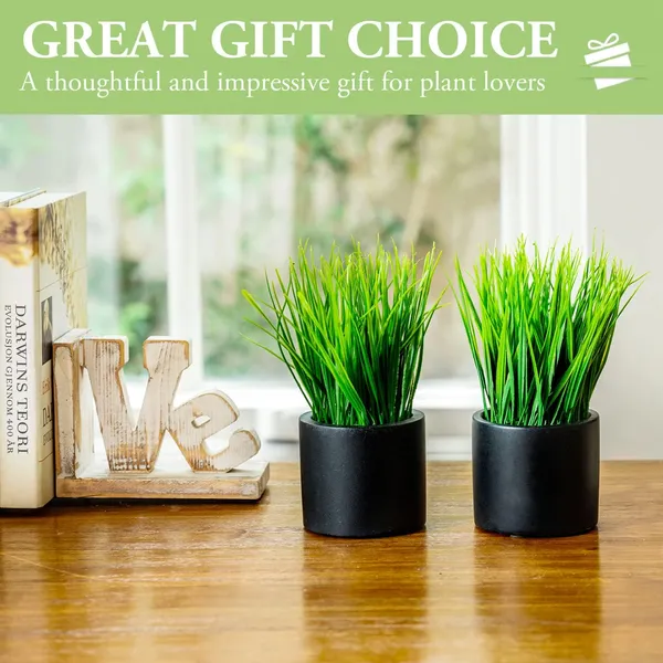 Artificial_Grass_Plant_Set_of_2_in_Black_Plastic_Pots__8_Inch_Tall_Faux_Greenery_for_Home_and_Office_Decor
