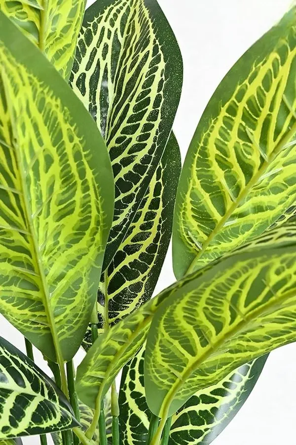 2_Feet_JJ_HOMES_Artificial_Green_Dieffenbachia_Plant_with_Pot_28_Inch_Decorative_Faux_Plant_for_Home_&_Office_Decor