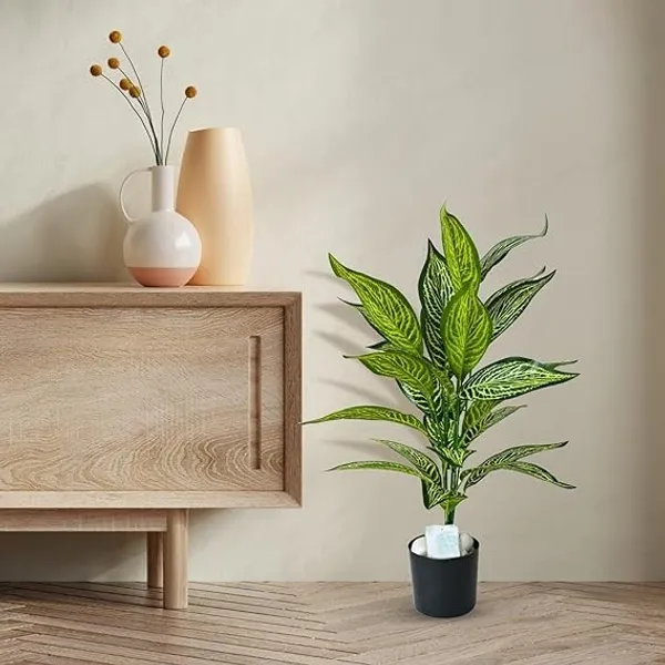 2_Feet_JJ_HOMES_Artificial_Green_Dieffenbachia_Plant_with_Pot_28_Inch_Decorative_Faux_Plant_for_Home_&_Office_Decor