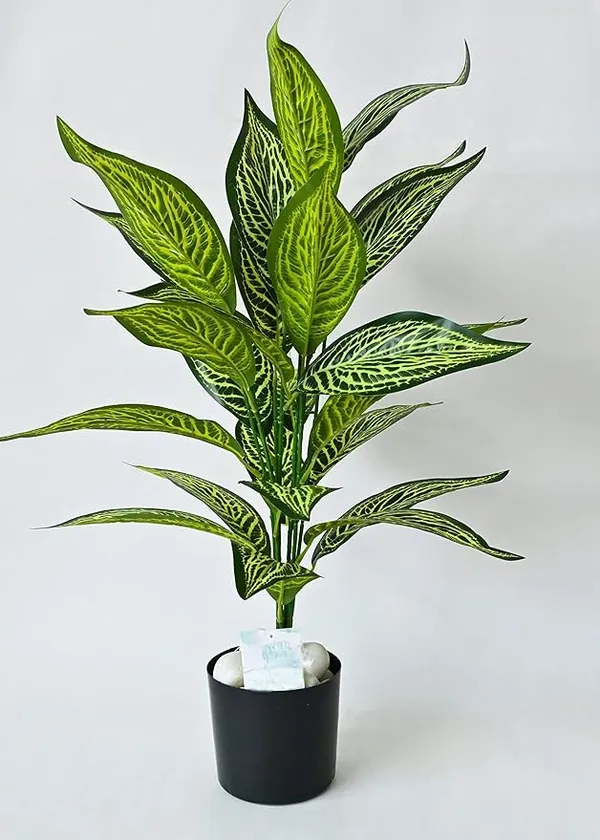 2_Feet_JJ_HOMES_Artificial_Green_Dieffenbachia_Plant_with_Pot_28_Inch_Decorative_Faux_Plant_for_Home_&_Office_Decor