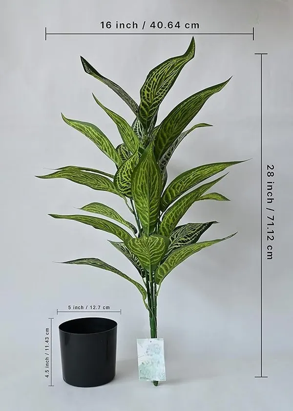 2_Feet_JJ_HOMES_Artificial_Green_Dieffenbachia_Plant_with_Pot_28_Inch_Decorative_Faux_Plant_for_Home_&_Office_Decor