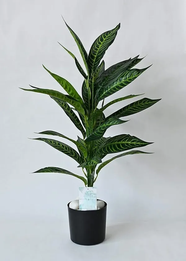 2_Feet_JJ_HOMES_Artificial_Green_Dieffenbachia_Plant_with_Pot_28_Inch_Decorative_Faux_Plant_for_Home_&_Office_Decor