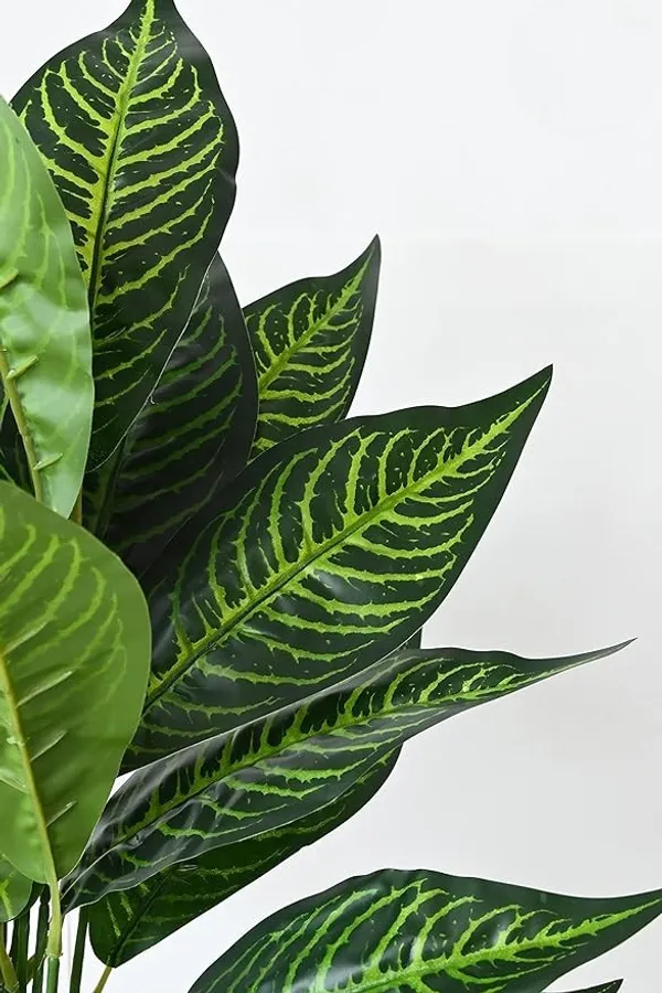 2_Feet_JJ_HOMES_Artificial_Green_Dieffenbachia_Plant_with_Pot_28_Inch_Decorative_Faux_Plant_for_Home_&_Office_Decor