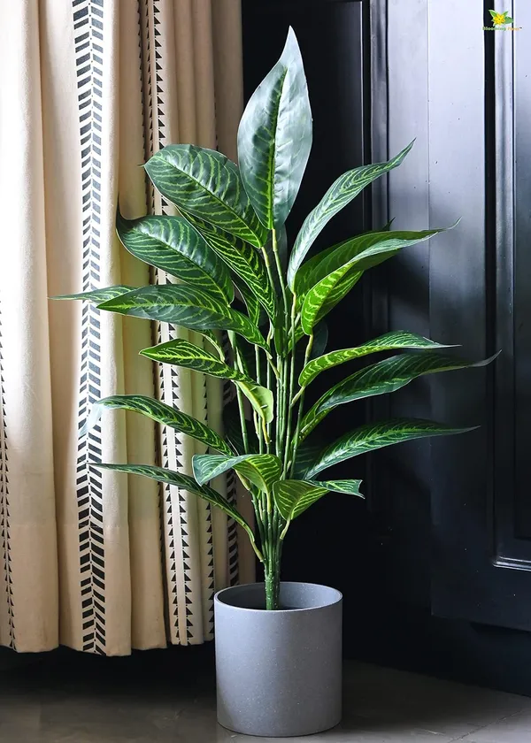 2_Feet_JJ_HOMES_Artificial_Green_Dieffenbachia_Plant_with_Pot_28_Inch_Decorative_Faux_Plant_for_Home_&_Office_Decor