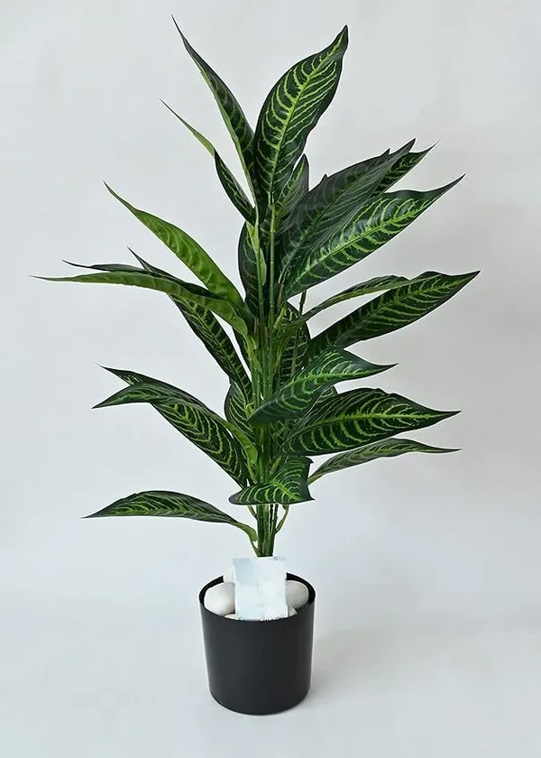 2_Feet_JJ_HOMES_Artificial_Green_Dieffenbachia_Plant_with_Pot_28_Inch_Decorative_Faux_Plant_for_Home_&_Office_Decor