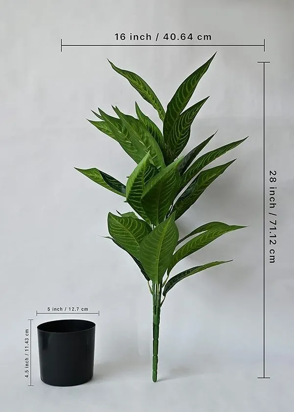2_Feet_JJ_HOMES_Artificial_Green_Dieffenbachia_Plant_with_Pot_28_Inch_Decorative_Faux_Plant_for_Home_&_Office_Decor