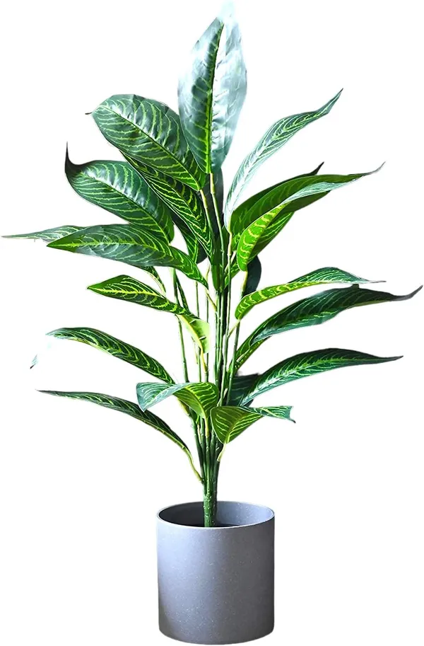 2_Feet_Elegant_Artificial_Dieffenbachia_Plant_in_Modern_Grey_Pot_Realistic_Green_Foliage