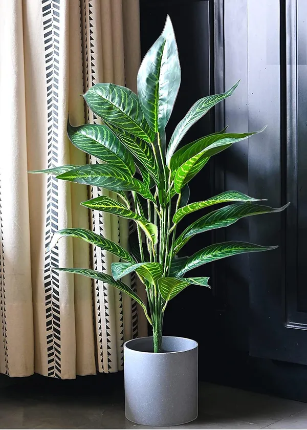 2_Feet_Elegant_Artificial_Dieffenbachia_Plant_in_Modern_Grey_Pot_Realistic_Green_Foliage