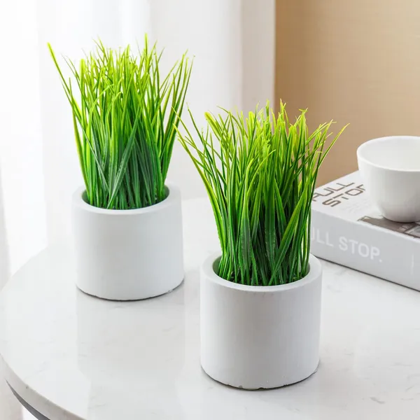 Artificial_Grass_Plant_Set_of_2_in_White_Plastic_Pots__8_Inch_Tall_Faux_Greenery_for_Home_and_Office_Decor