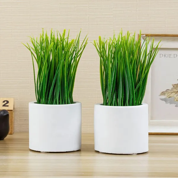 Artificial_Grass_Plant_Set_of_2_in_White_Plastic_Pots__8_Inch_Tall_Faux_Greenery_for_Home_and_Office_Decor
