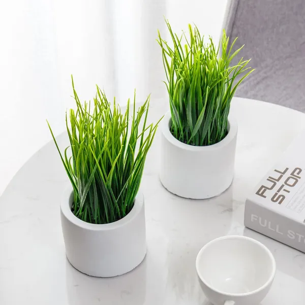 Artificial_Grass_Plant_Set_of_2_in_White_Plastic_Pots__8_Inch_Tall_Faux_Greenery_for_Home_and_Office_Decor