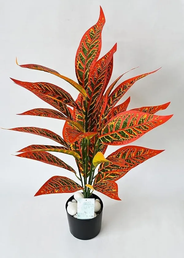 2_Feet_JJ_HOMES_Artificial_Orange_Dieffenbachia_Plant_with_Pot_28_Inch_Decorative_Faux_Plant_for_Home_&_Office_Decor