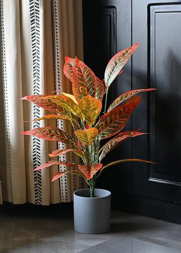 2_Feet_JJ_HOMES_Artificial_Orange_Dieffenbachia_Plant_with_Pot_28_Inch_Decorative_Faux_Plant_for_Home_&_Office_Decor