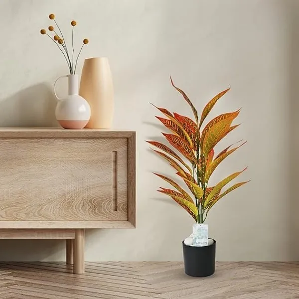 2_Feet_JJ_HOMES_Artificial_Orange_Dieffenbachia_Plant_with_Pot_28_Inch_Decorative_Faux_Plant_for_Home_&_Office_Decor