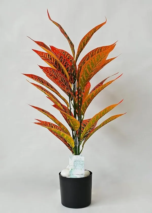 2_Feet_JJ_HOMES_Artificial_Orange_Dieffenbachia_Plant_with_Pot_28_Inch_Decorative_Faux_Plant_for_Home_&_Office_Decor