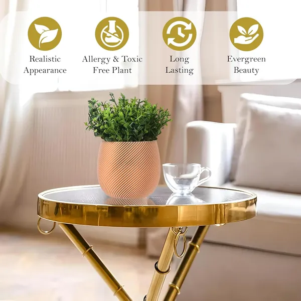 Skin_Decorative_Artificial_Boxwood_Plant_In_Textured_Terracotta_Style_Pot_For_Home_&_Office_Decor