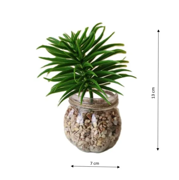 Mini_Artificial_Green_Succulent_in_Transparent_Plastic_Pot