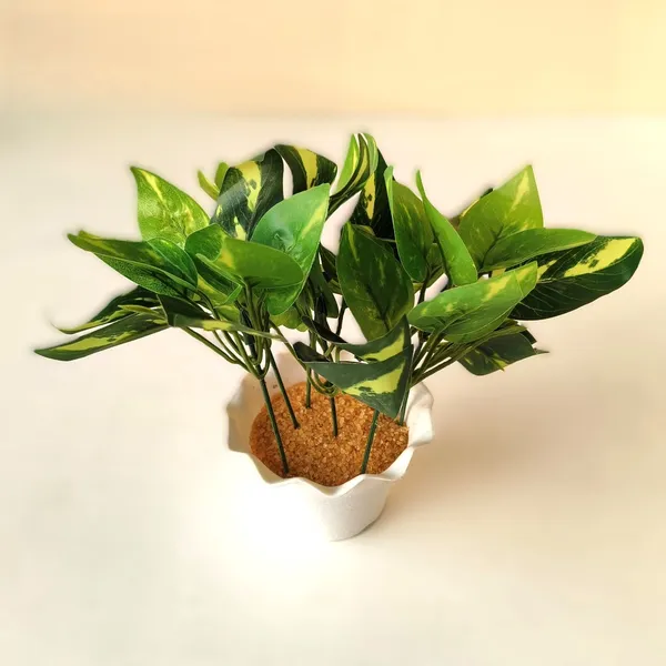 Artificial_Pothos_Plant_in_White_Textured_Pot
