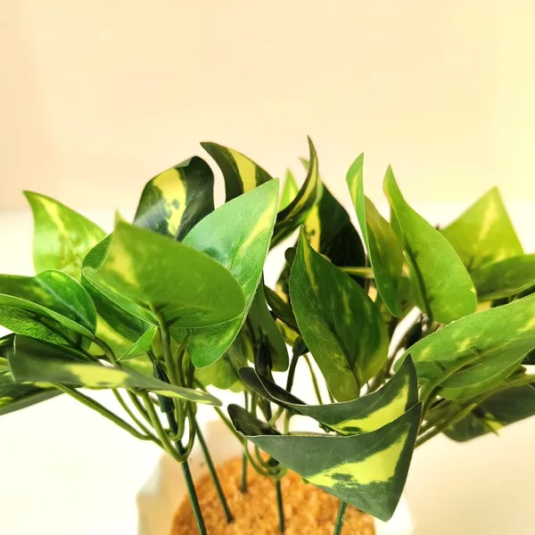 Artificial_Pothos_Plant_in_White_Textured_Pot