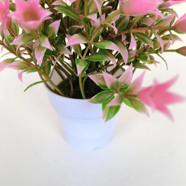 Beautiful_Pink_Floral_Display_with_Green_Leaves_in_a_White_Pot
