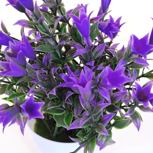 Beautiful_Blue_Floral_Display_with_Green_Leaves_in_a_White_Pot