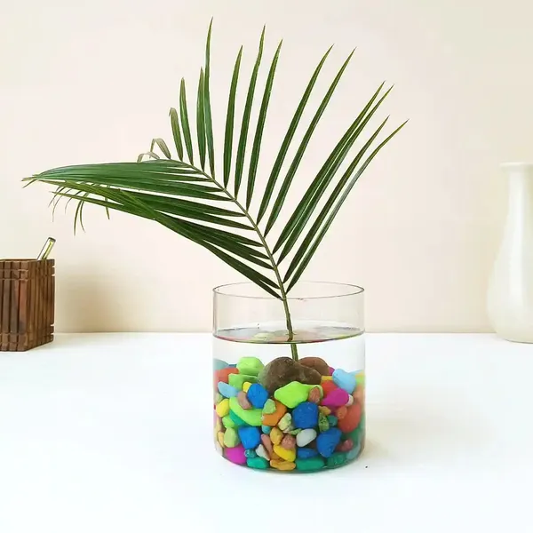 Flower_Vase_Made_Of_Glass_For_Decoration_Garden_Plants_Pots_Home_Decor