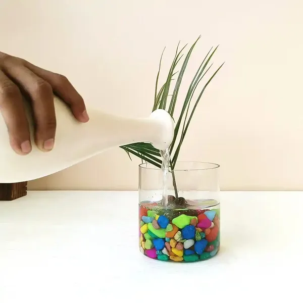 Flower_Vase_Made_Of_Glass_For_Decoration_Garden_Plants_Pots_Home_Decor