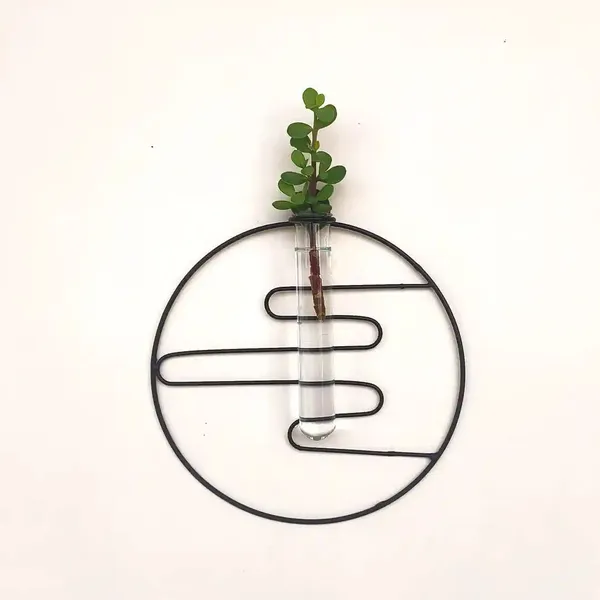 Black_Metal_Wall_Mounted_Glass_Tube_Planter_Flower_Pot_And_Vases