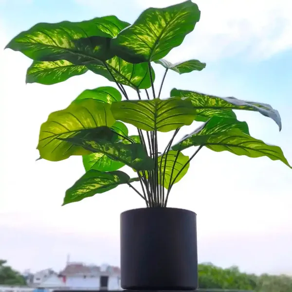 Dieffenbachia_Dumb_Canes_Artificial_Plant_With_Pot_Lifelike_Plastic_Plants
