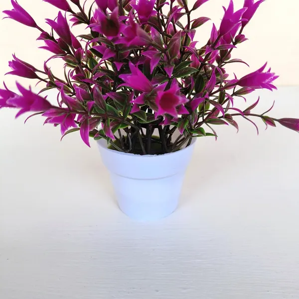 Beautiful_Purple_Floral_Display_with_Green_Leaves_in_a_White_Pot