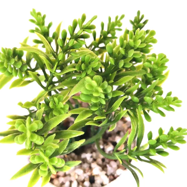 Elegant_Artificial_Green_Plant_Arrangement_in_a_White_Finish_Pot_with_Decorative_Pebbles