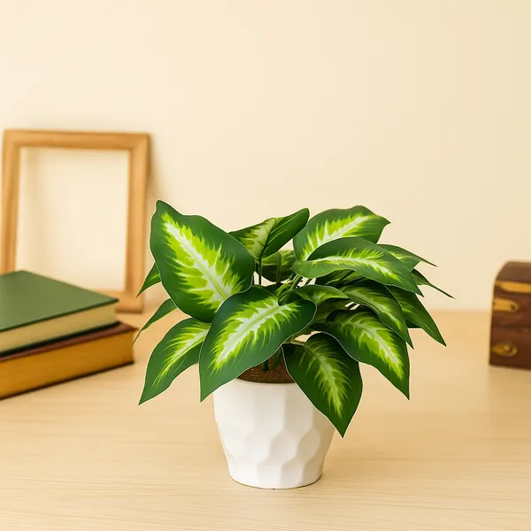 Emerald_Beauty_Dieffenbachia_With_White_Plastic_Pot