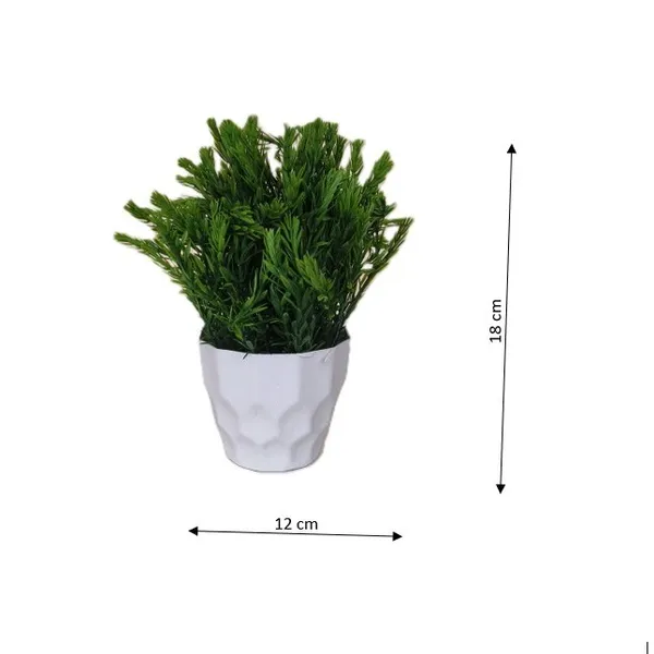 Green_Oasis_Plant_With_White_Pot
