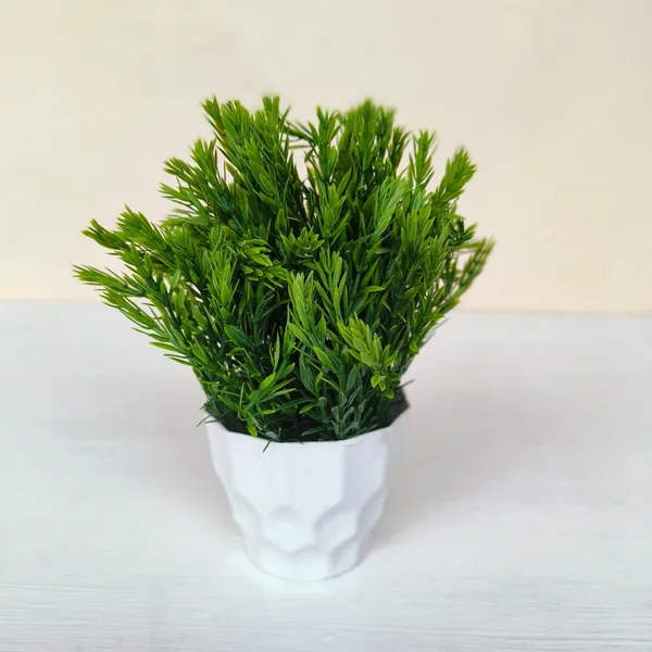 Green_Oasis_Plant_With_White_Pot