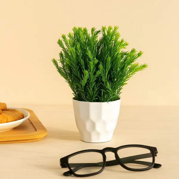 Green_Oasis_Plant_With_White_Pot