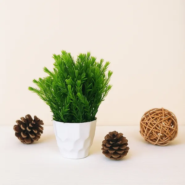 Green_Oasis_Plant_With_White_Pot