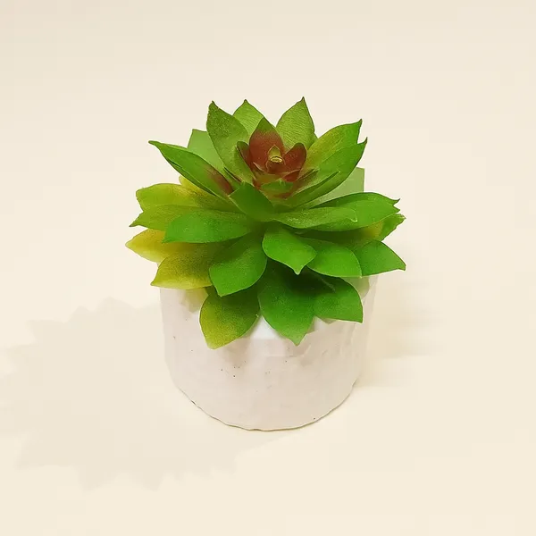 Mini_Modern_Decorative_Succulent_in_Textured_White_Pot