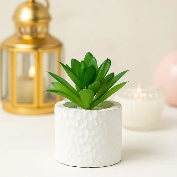 Mini_Modern_Decorative_Succulent_in_Textured_White_Pot