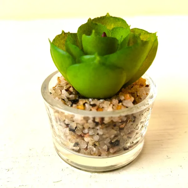 Mini_Artificial_Succulent_in_Glass_Pot