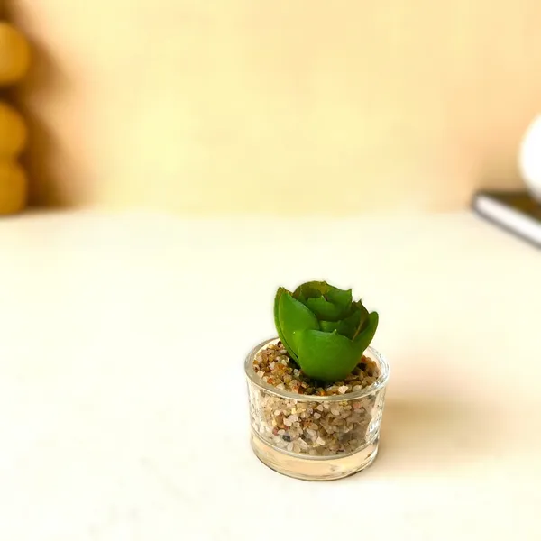 Mini_Artificial_Succulent_in_Glass_Pot