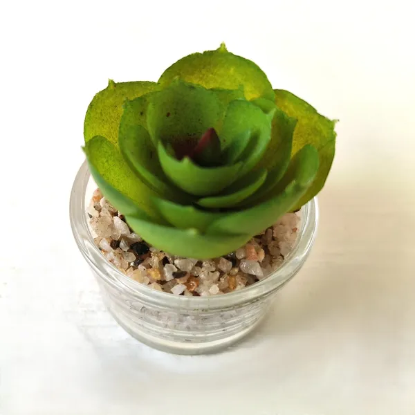 Mini_Artificial_Succulent_in_Glass_Pot