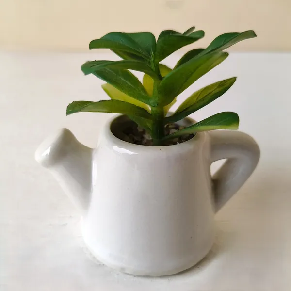 Mini_Succulent_in_Ceramic_Teapot_Pot