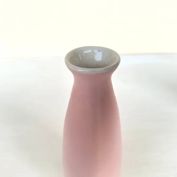 Minimalist_Pink_Ceramic_Vase_â€“_Modern_Decorative_Accent