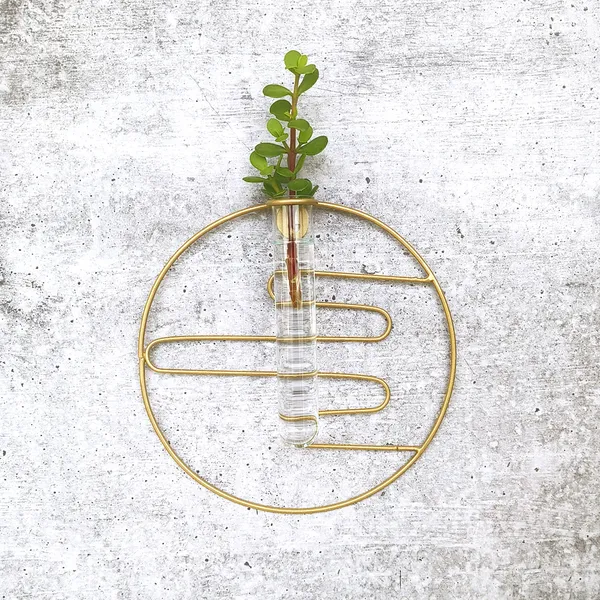 Minimalist_Wall-Mounted_Test_Tube_Vase