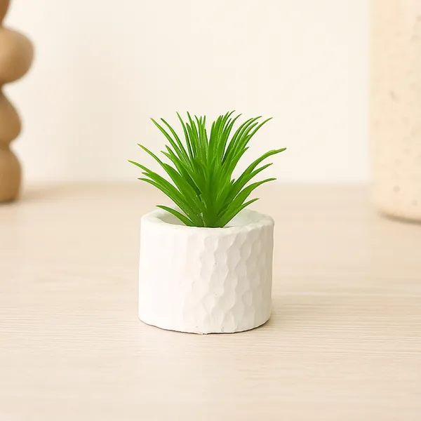 Mini_Modern_Decorative_Succulent_in_Textured_White_Pot