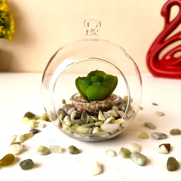 Natural_Polished_Decorative_Pebbles