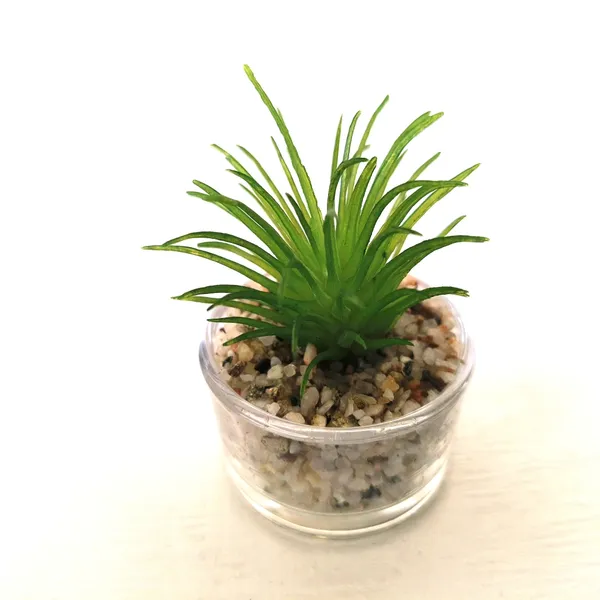 Mini_Artificial_Succulent_in_Glass_Pot