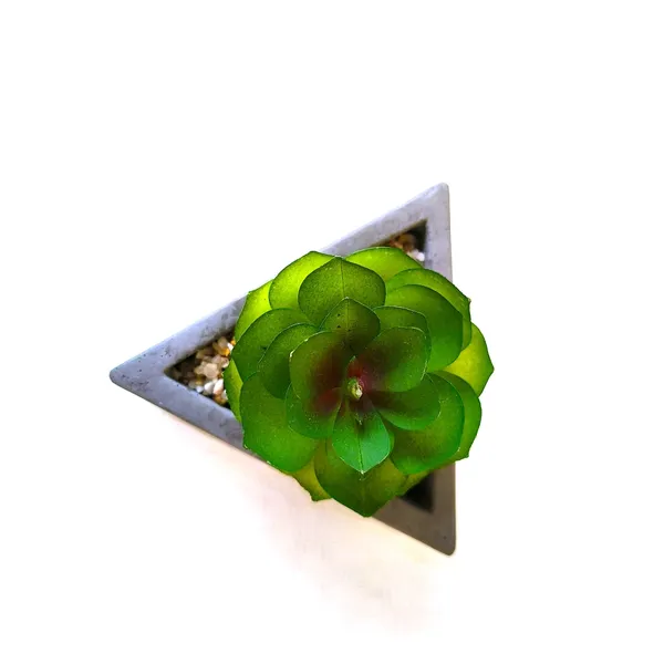 Tranquil_Green_Bloom_in_Geometric_Elegance